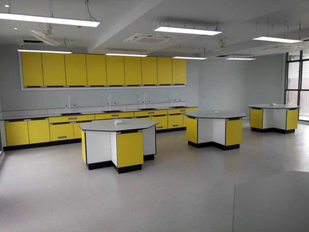 lab furniture, furniture lab , fume hood, school