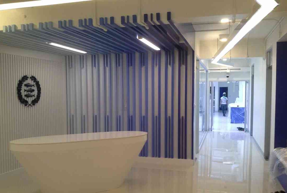 renovation & interior