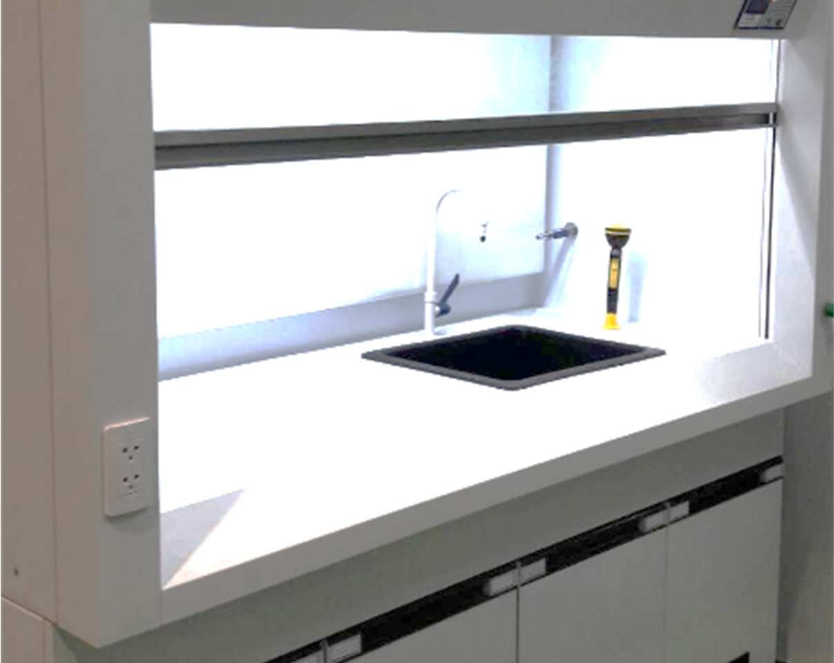 inside fume hood-1
